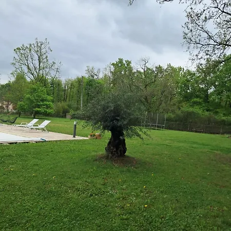 Avec Salle De Bain Privee מונטובן